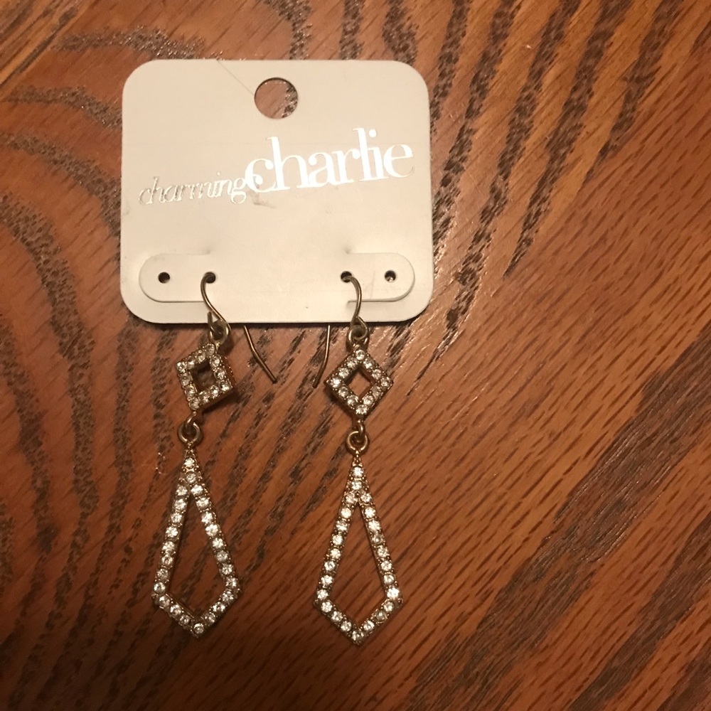Never worn Charming Charlie’s earrings